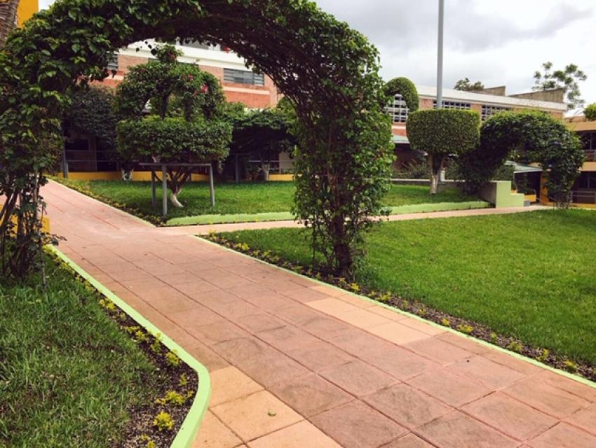 El Colegio se mantiene verde