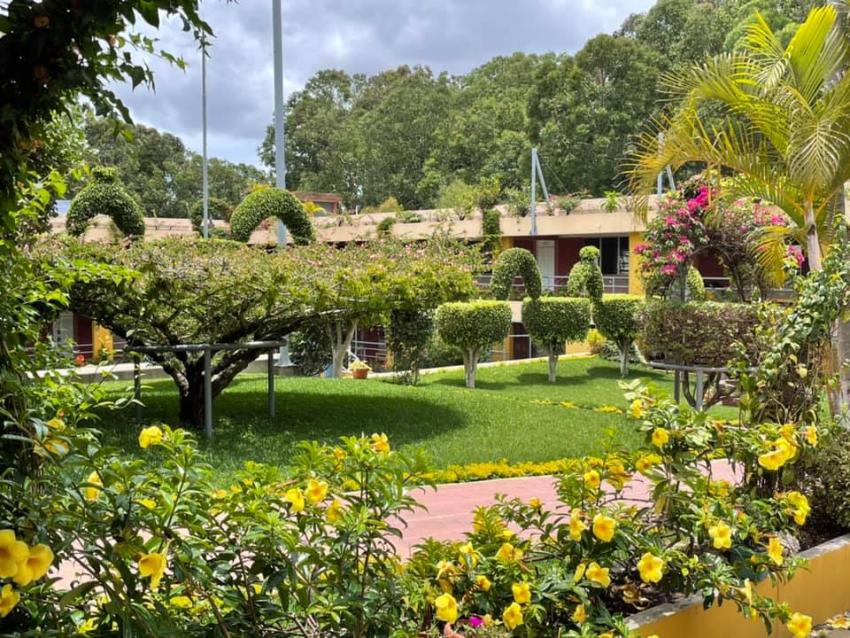 El Colegio se mantiene verde