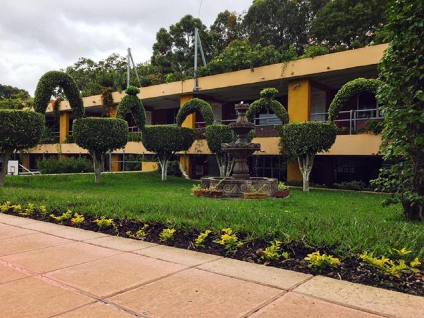 El Colegio se mantiene verde