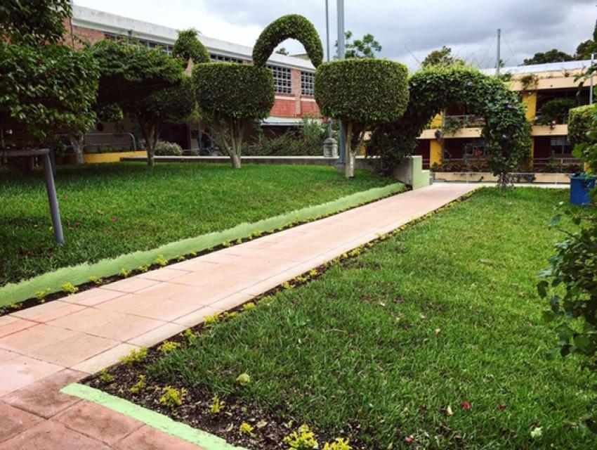 El Colegio se mantiene verde