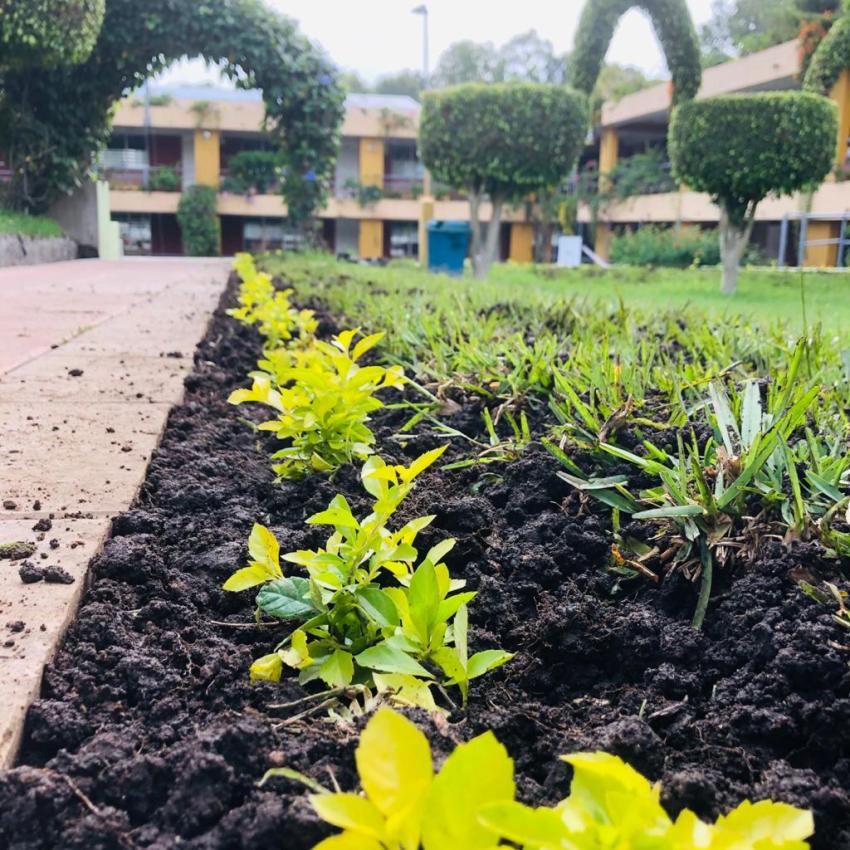 El Colegio se mantiene verde