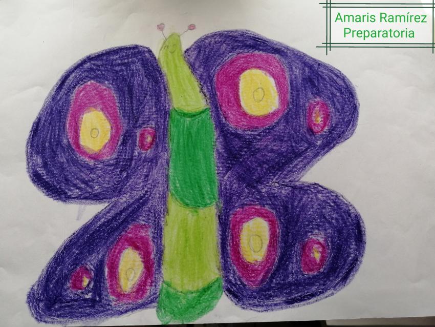 Expo de dibujo, Primaria