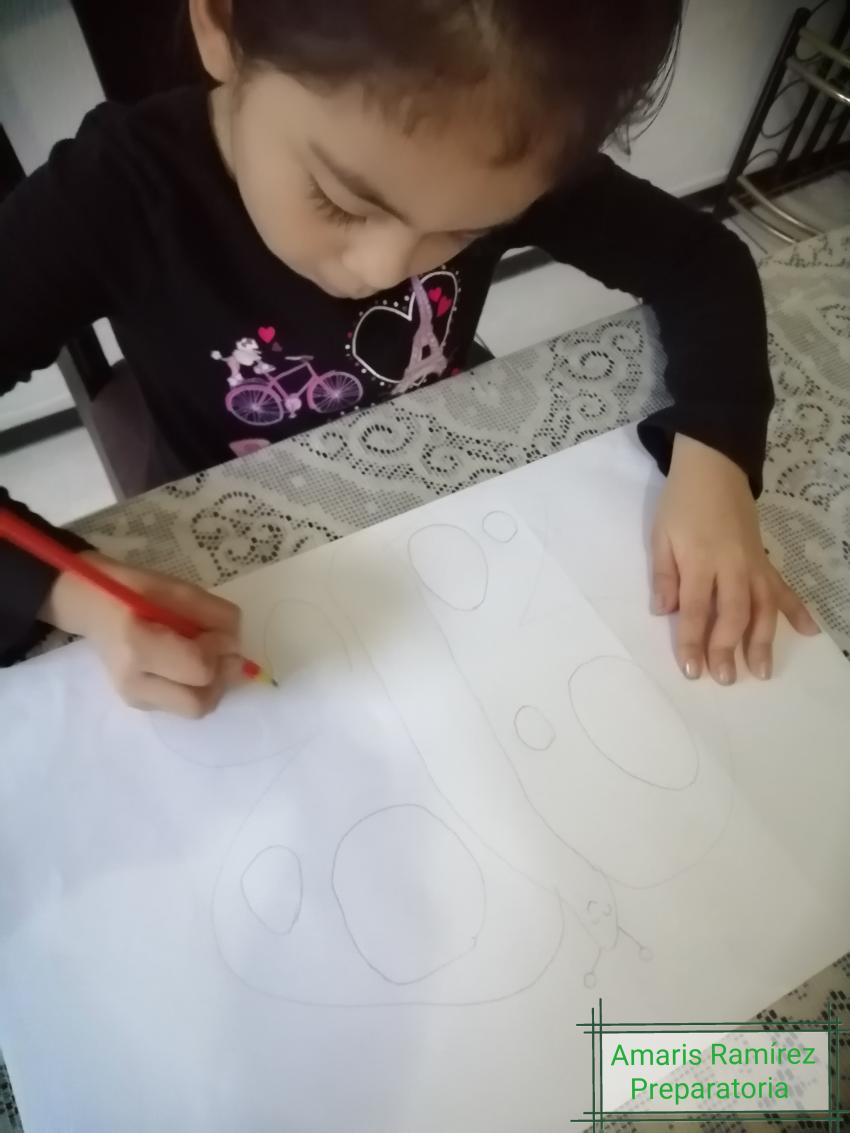 Expo de dibujo, Primaria