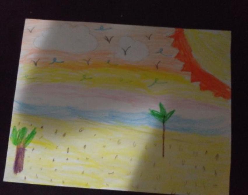 Expo de dibujo, Primaria
