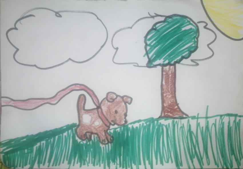 Expo de dibujo, Primaria