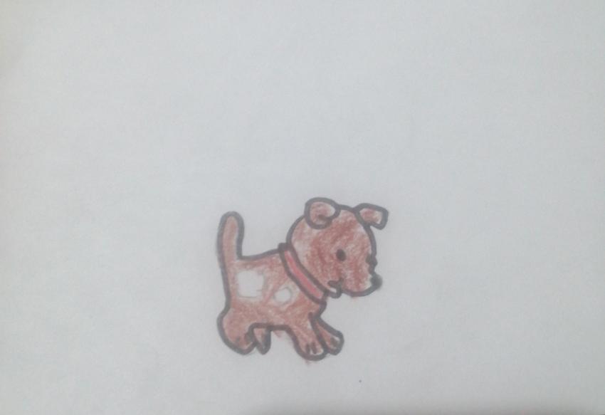 Expo de dibujo, Primaria