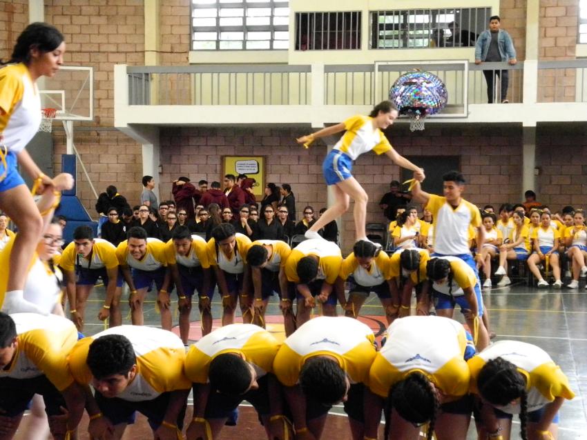 Gimnasia rítmica