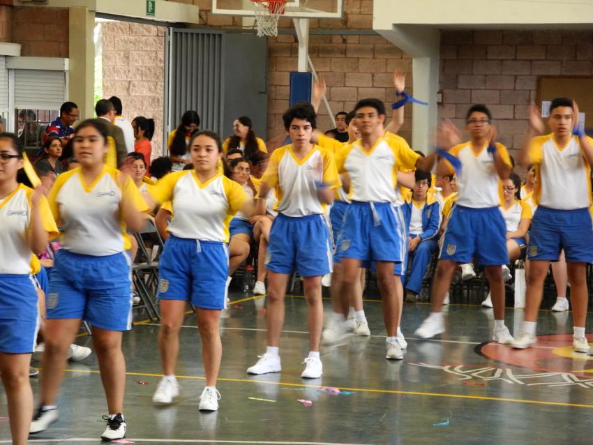 Gimnasia rítmica
