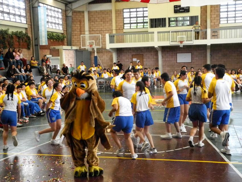Gimnasia rítmica