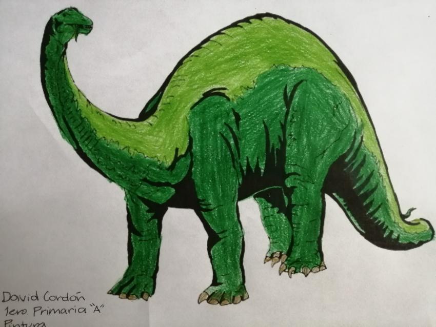 Expo de pinturas, Primaria