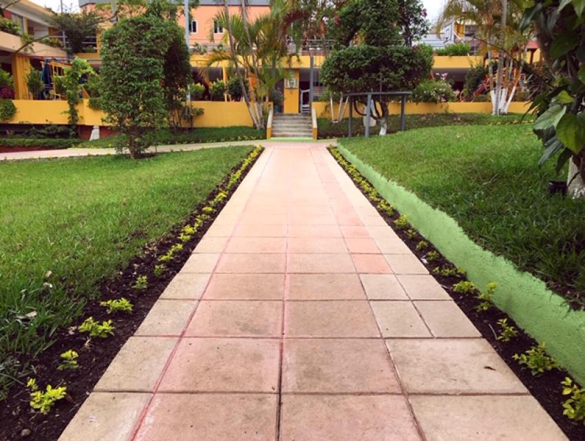 El Colegio se mantiene verde