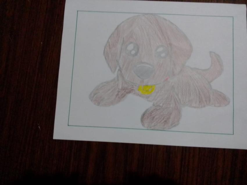 Expo de dibujo, Primaria