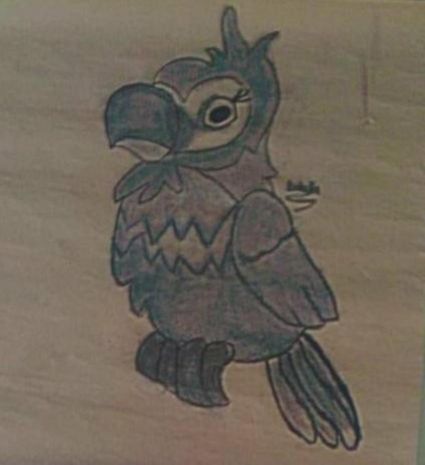 Expo de dibujo, Primaria