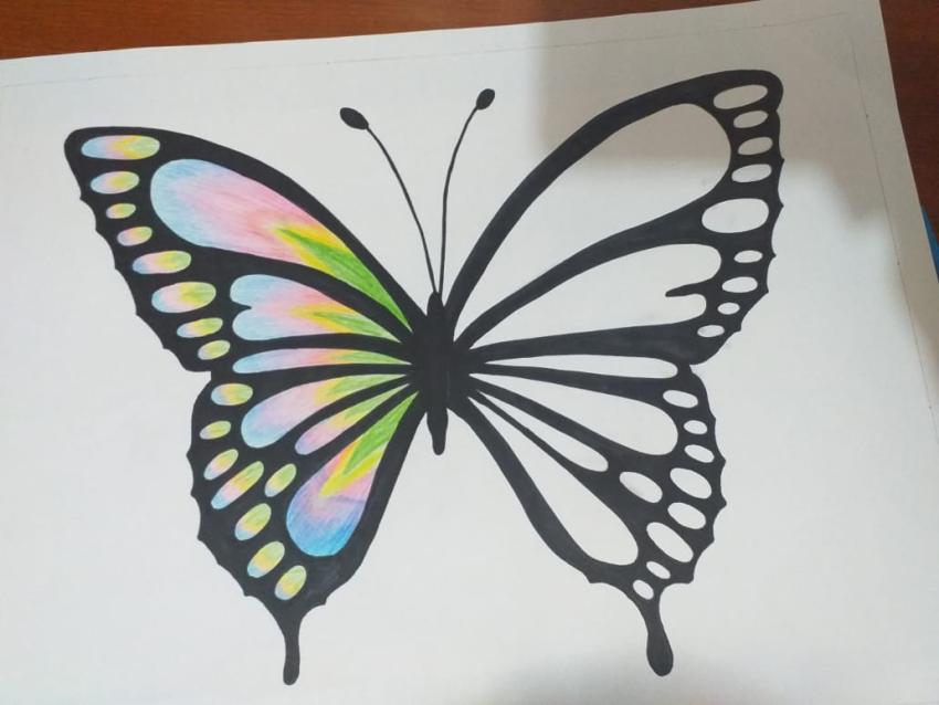 Expo de dibujo, Primaria