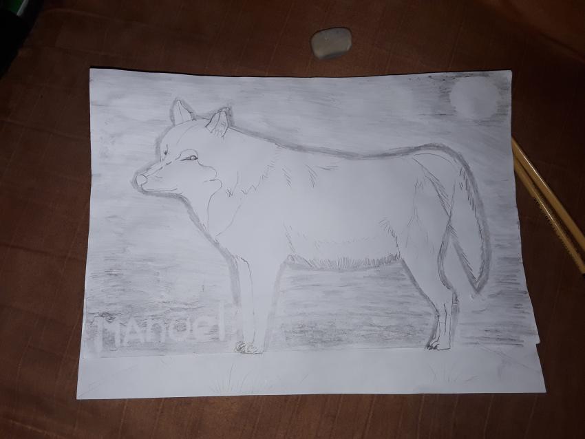 Expo de dibujo, Primaria