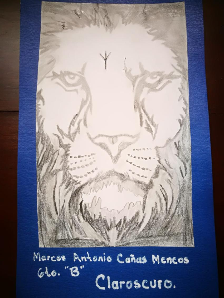 Expo de dibujo, Primaria