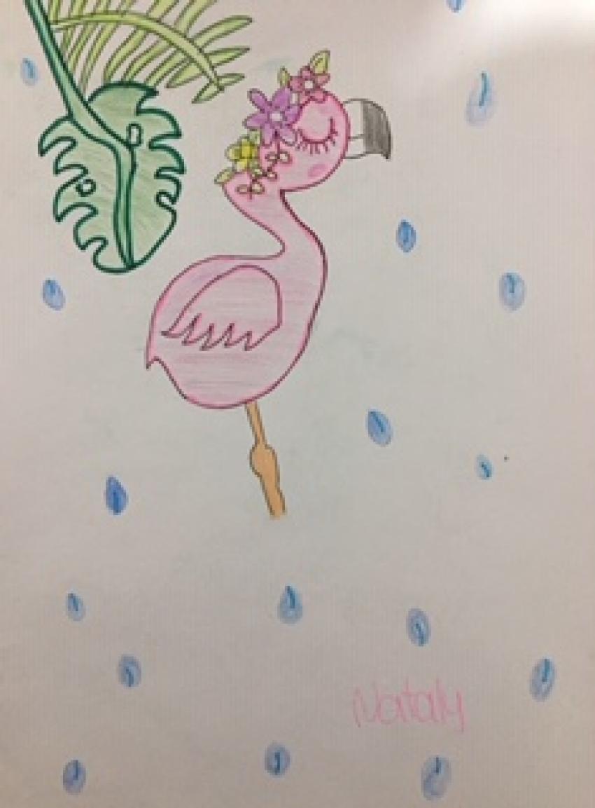 Expo de dibujo, Primaria