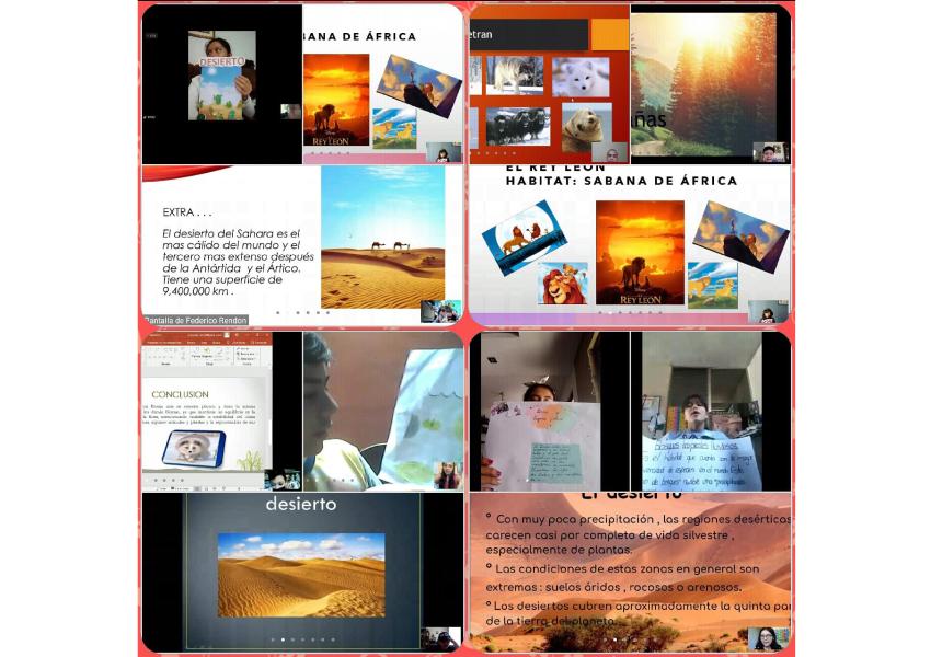 Clases virtuales agosto
