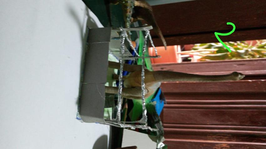 Expo de manualidades, Primaria