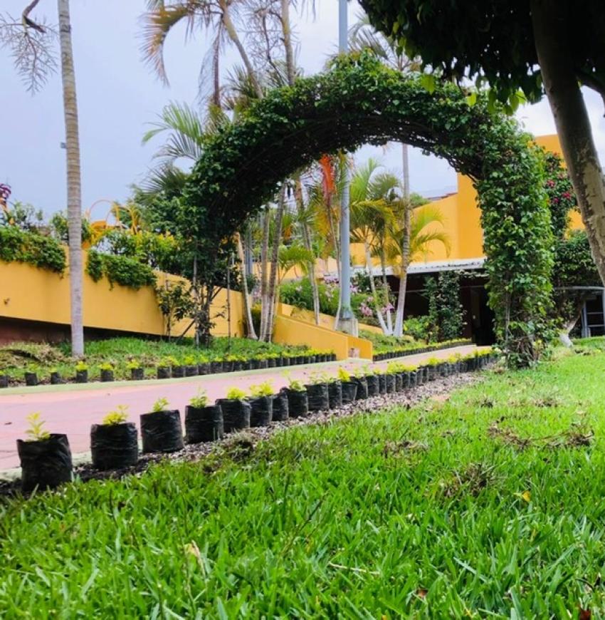 El Colegio se mantiene verde